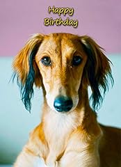 Saluki dog birthday for sale  Delivered anywhere in UK