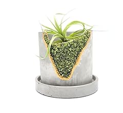 Inch crystal plant for sale  Delivered anywhere in USA 