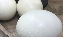 Klocke osterdekoration uovo usato  Spedito ovunque in Italia 