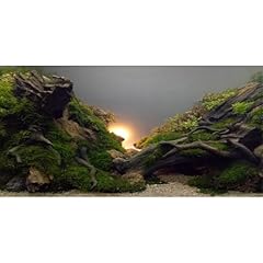Awert river bed for sale  Delivered anywhere in USA 