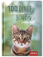 100 dinge man gebraucht kaufen  Wird an jeden Ort in Deutschland