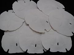 Pcs white florida for sale  Delivered anywhere in USA 