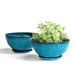 Plant pots inch for sale  Delivered anywhere in USA 