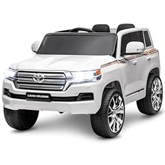Hetoy toyota land usato  Spedito ovunque in Italia 