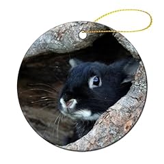 Bunny rabbit black for sale  Delivered anywhere in USA 