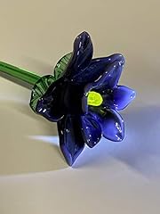 Violet tiger lily for sale  Delivered anywhere in USA 