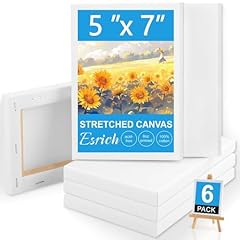 Esrich small canvases for sale  Delivered anywhere in USA 