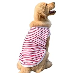 Aniac summer dog for sale  Delivered anywhere in USA 