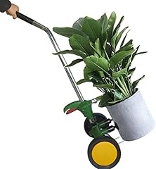 Vimoa potted plant for sale  Delivered anywhere in USA 