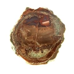 Lithophyse 195.5 carats d'occasion  Livré partout en France