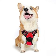 Rabbitgoo dog harness for sale  Delivered anywhere in UK