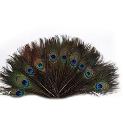 Winomo 100pcs peacock for sale  Delivered anywhere in UK
