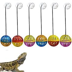 Pack bearded dragon for sale  Delivered anywhere in UK