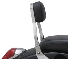 Cobra sissy bars for sale  Delivered anywhere in USA 