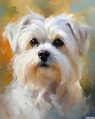 Fukvhil maltese dog for sale  Delivered anywhere in USA 