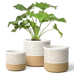 T4u ceramic planter for sale  Delivered anywhere in UK