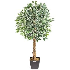 Christow artificial ficus for sale  Delivered anywhere in UK