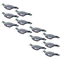 Kct pack pigeon for sale  Delivered anywhere in Ireland