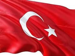 Türkei fahne euro gebraucht kaufen  Wird an jeden Ort in Deutschland
