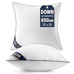 Miulee 20x20 pillow for sale  Delivered anywhere in USA 
