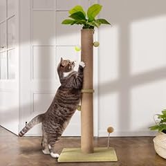 Peluomoz scratch post for sale  Delivered anywhere in USA 