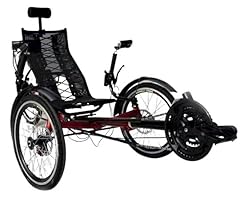 Cozytrikes electric recumbent for sale  Delivered anywhere in USA 