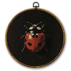 Mcehtle moody ladybug for sale  Delivered anywhere in USA 
