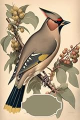 Bohemian waxwing bird for sale  Delivered anywhere in UK