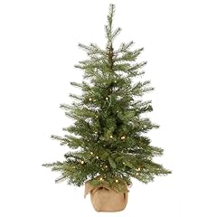 National tree company for sale  Delivered anywhere in USA 