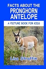 Facts pronghorn antelope for sale  Delivered anywhere in USA 