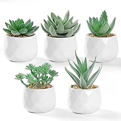 Lomohoo artificial succulent for sale  Delivered anywhere in UK