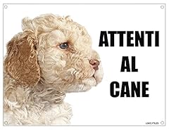 Lagotto attenti cane usato  Spedito ovunque in Italia 