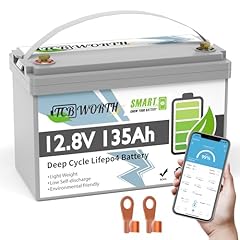 Tcbworth 12v lithium for sale  Delivered anywhere in USA 