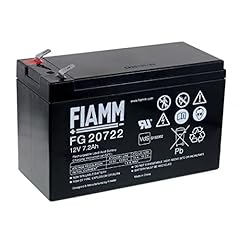 Fiamm batteria ricaricabile usato  Spedito ovunque in Italia 