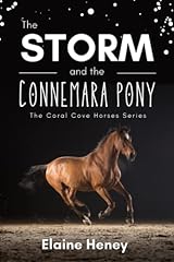 Storm connemara pony for sale  Delivered anywhere in USA 