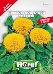 Sementi fiore qualità usato  Spedito ovunque in Italia 