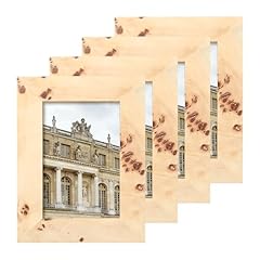 Concepts set 4x6 for sale  Delivered anywhere in USA 