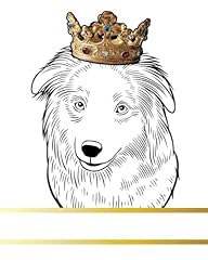 Pyrenean shepherd dog for sale  Delivered anywhere in UK