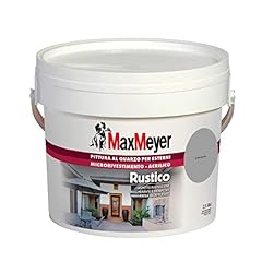 Maxmeyer pittura per usato  Spedito ovunque in Italia 