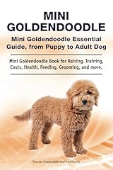 Mini goldendoodle. mini for sale  Delivered anywhere in USA 