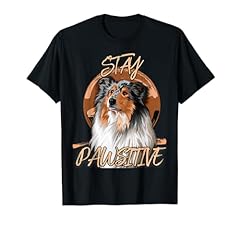 Collie langhaar hund gebraucht kaufen  Wird an jeden Ort in Deutschland