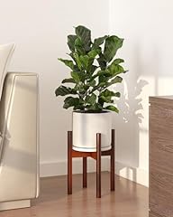 Gentingbro adjustable plant for sale  Delivered anywhere in USA 