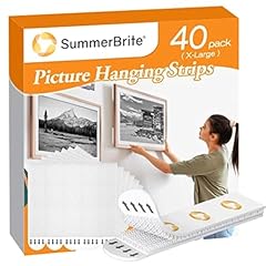 Summerbrite picture hanging for sale  Delivered anywhere in USA 