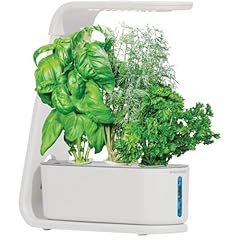 Aerogarden white sprout for sale  Delivered anywhere in UK