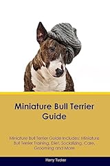 Miniature bull terrier for sale  Delivered anywhere in USA 