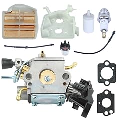 Kit carburatore per usato  Spedito ovunque in Italia 