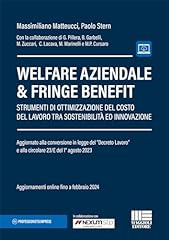 Welfare aziendale fringe usato  Spedito ovunque in Italia 