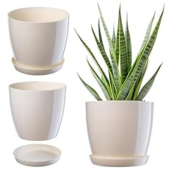 Kadax blumentopf untersetzer gebraucht kaufen  Wird an jeden Ort in Deutschland