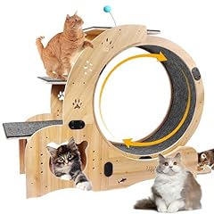 Cat wheel exerciser for sale  Delivered anywhere in USA 