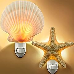 Hortsun piece seashell for sale  Delivered anywhere in USA 